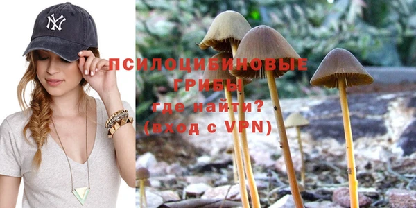 ALPHA-PVP Верея