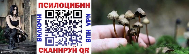 где найти Новохопёрск Галлюциногенные грибы Psilocybe